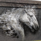 Mural of a white horse